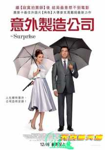 意外制造公司 De Surprise