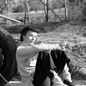 揭好莱坞抗日神片穿帮情节：中国土狗竟变美国雪纳瑞