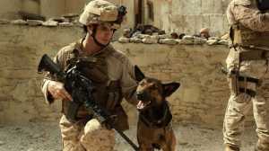 麦克斯：主旋律狗狗歪传