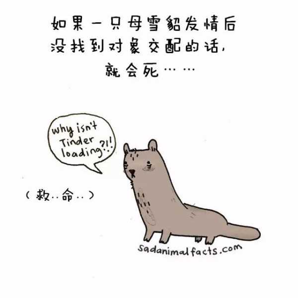 你不知道的动物冷知识